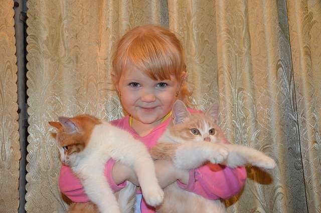 malá holčička a kočky