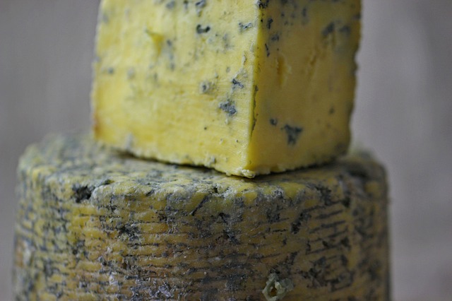 sýr s plísní
